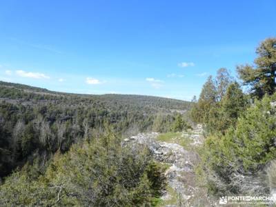 un bosque Jurásico - Sabinar y Cañón del río Caslilla; viajes en el puente del pilar parques naciona